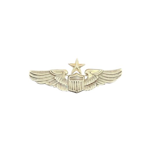 Amerikaanse WO2 USAAF Senior Pilot Wing