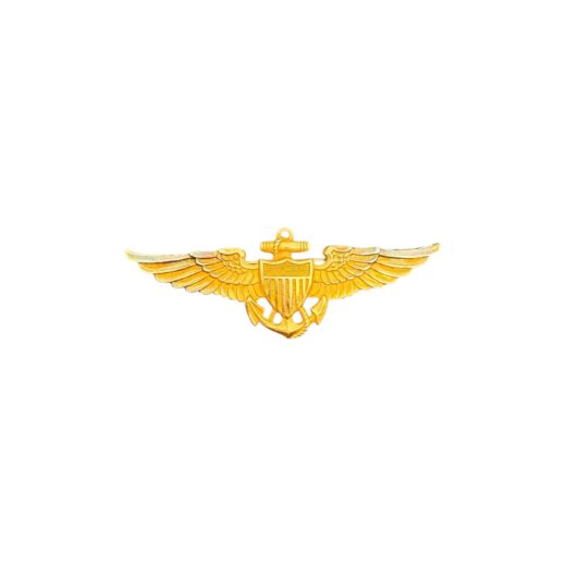 Amerikaanse WO2 Navy Pilot Wing.